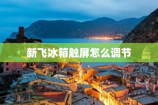 新飞冰箱触屏怎么调节