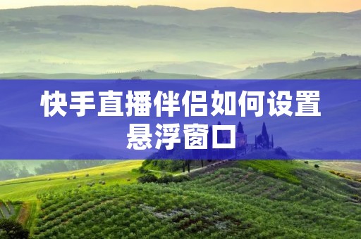 快手直播伴侣如何设置悬浮窗口