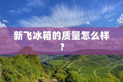 新飞冰箱的质量怎么样? 新飞冰箱的质量怎么样?