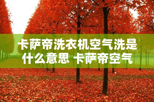 卡萨帝洗衣机空气洗是什么意思 卡萨帝空气洗功能