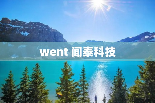 went 闻泰科技