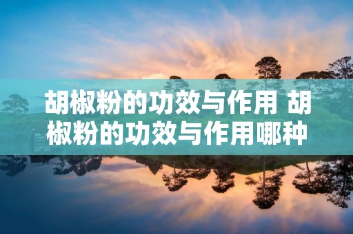 胡椒粉的功效与作用 胡椒粉的功效与作用哪种人不能吃