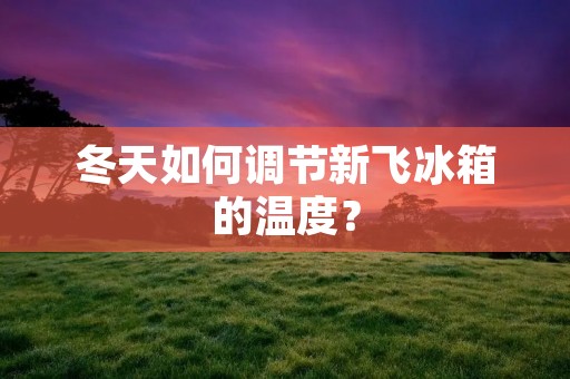 冬天如何调节新飞冰箱的温度? 冬天如何调节新飞冰箱的温度?