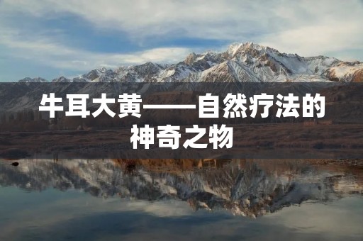 牛耳大黄——自然疗法的神奇之物