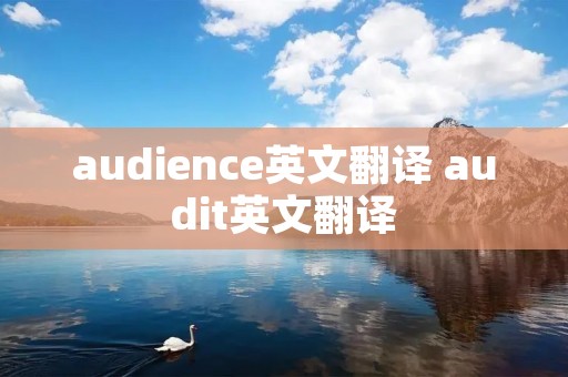 audience英文翻译 audit英文翻译