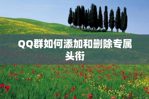 QQ群如何添加和删除专属头衔