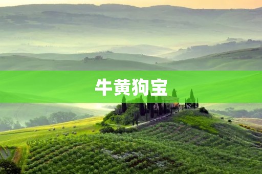 牛黄狗宝:中药宝库中的珍品