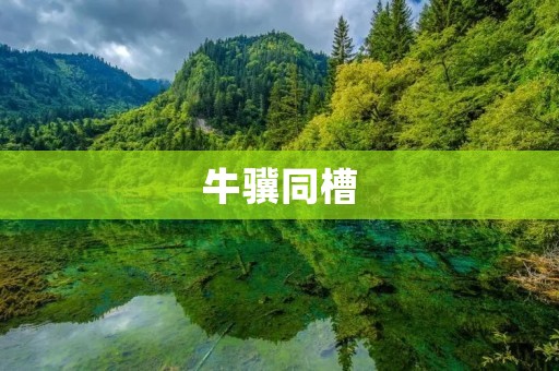 牛骥同槽:独特的友情故事