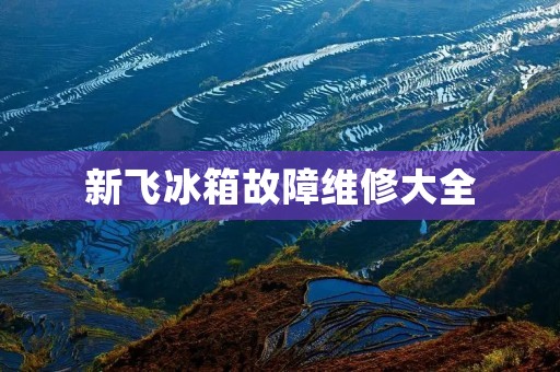 新飞冰箱故障维修大全