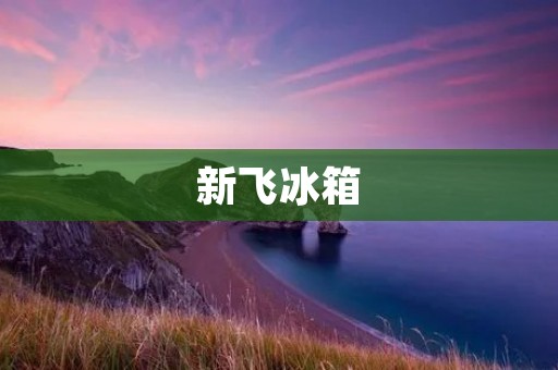 新飞冰箱:品质保证,持续生产 新飞冰箱:品质保证,持续生产