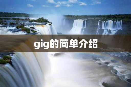 gig的简单介绍