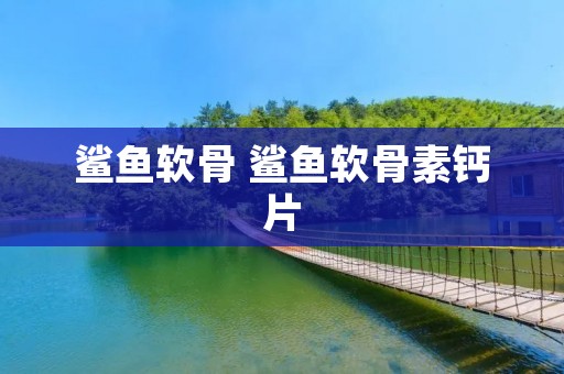 鲨鱼软骨 鲨鱼软骨素钙片