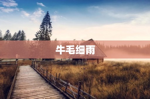 牛毛细雨:细密如牛毛的细雨,温柔而恬静的雨滴。