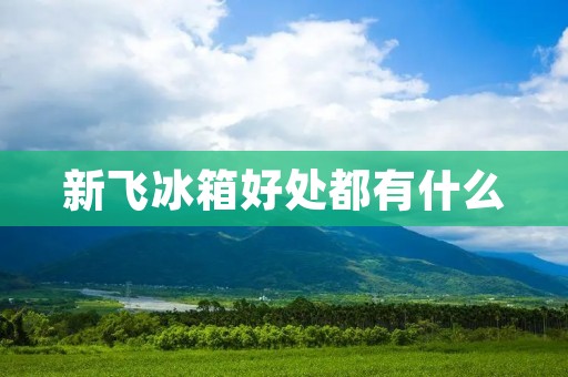 新飞冰箱好处都有什么