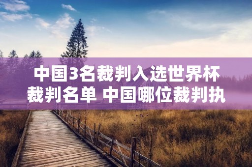 中国3名裁判入选世界杯裁判名单 中国哪位裁判执法过世界杯决赛