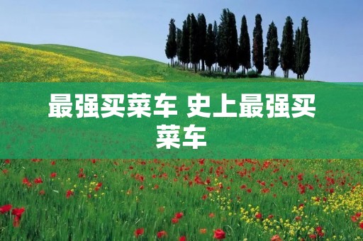 最强买菜车 史上最强买菜车 最强买菜车 史上最强买菜车