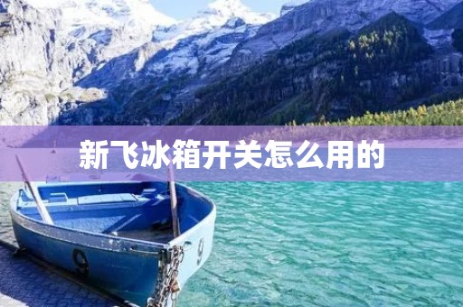 新飞冰箱开关怎么用的
