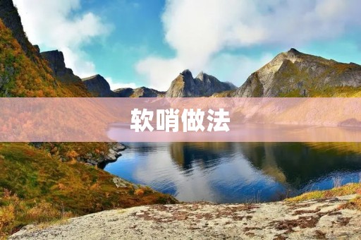 软哨做法：提升效率的新选择