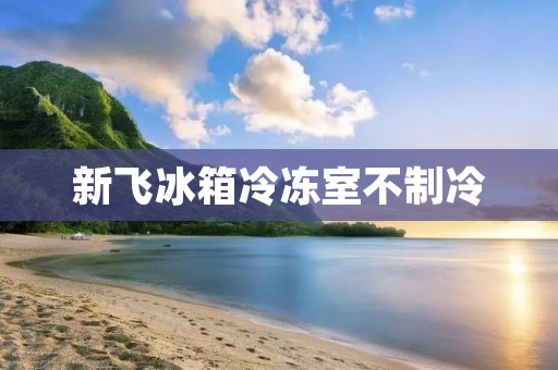 新飞冰箱冷冻室不制冷：可能的原因及解决方法