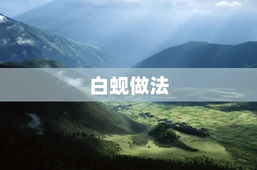 白蚬做法：美味佳肴的制作秘籍