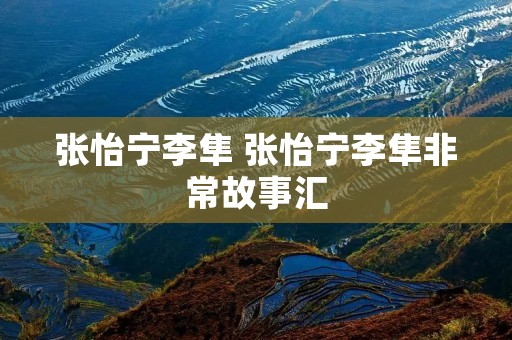 张怡宁李隼 张怡宁李隼非常故事汇