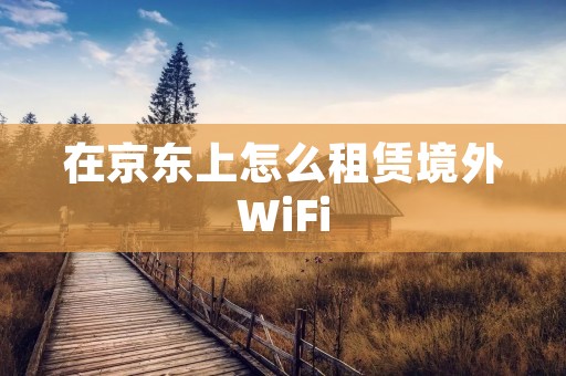 在京东上怎么租赁境外WiFi