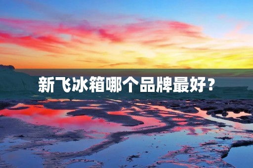 新飞冰箱哪个品牌最好? 新飞冰箱哪个品牌最好?
