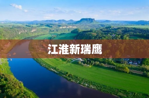 江淮新瑞鹰：创新科技引领未来汽车发展