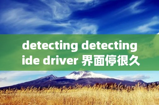 detecting detecting ide driver 界面停很久
