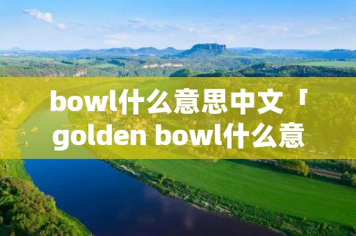 bowl什么意思中文「golden bowl什么意思中文」