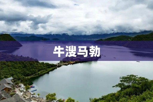 牛溲马勃:一种珍贵药材的探秘