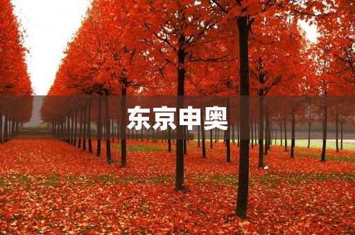 东京申奥：追逐梦想的奥运之都