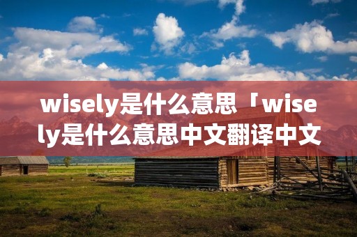 wisely是什么意思「wisely是什么意思中文翻译中文读音」