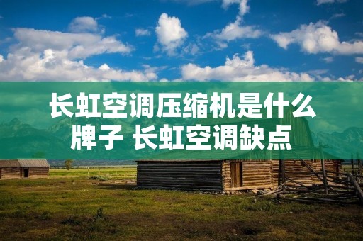 长虹空调压缩机是什么牌子 长虹空调缺点