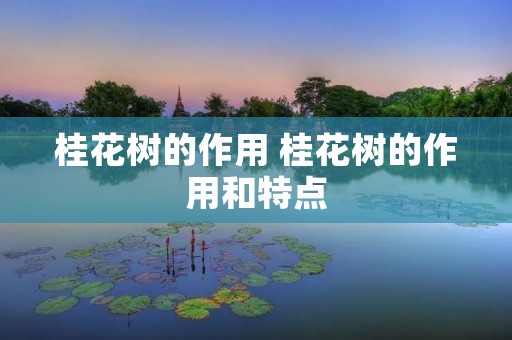 桂花树的作用 桂花树的作用和特点