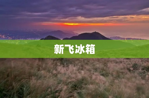 新飞冰箱：质量与品牌的保证