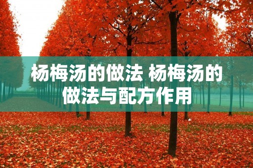 杨梅汤的做法 杨梅汤的做法与配方作用