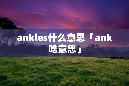 ankles什么意思「ank啥意思」
