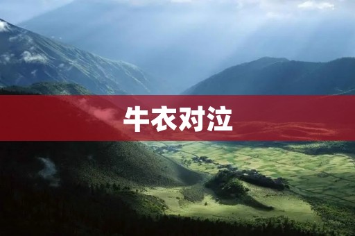牛衣对泣:一个关于坚守与背叛的故事