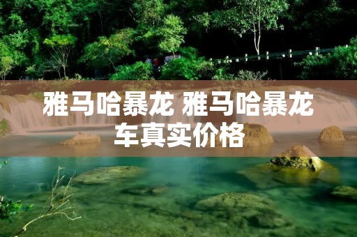 雅马哈暴龙 雅马哈暴龙车真实价格