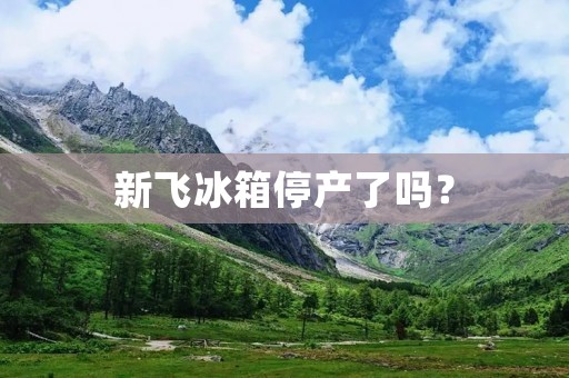 新飞冰箱停产了吗? 新飞冰箱停产了吗?