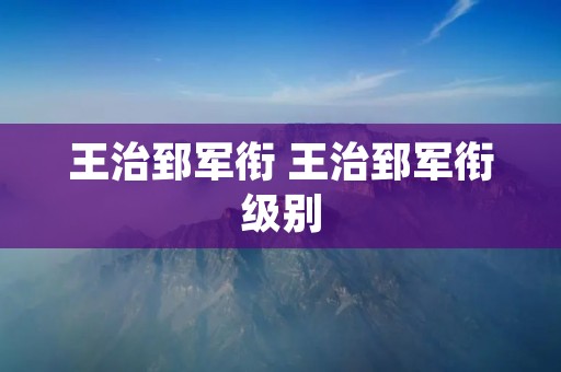 王治郅军衔 王治郅军衔级别