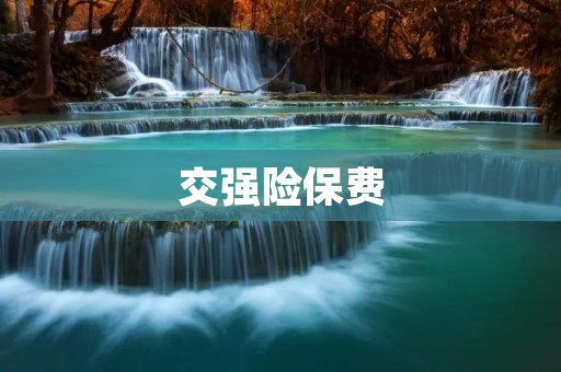 交强险保费：了解保费计算及影响因素