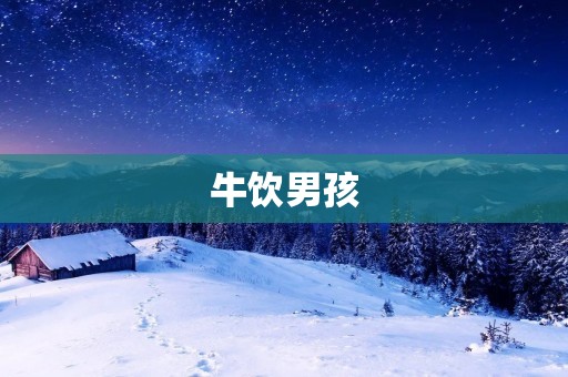 牛饮男孩:探寻生命中的勇气和坚韧