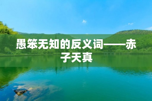 愚笨无知的反义词——赤子天真
