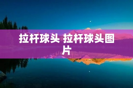 拉杆球头 拉杆球头图片 拉杆球头 拉杆球头图片