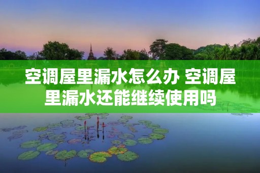 空调屋里漏水怎么办 空调屋里漏水还能继续使用吗 空调屋里漏水怎么办 空调屋里漏水还能继续使用吗
