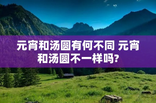 元宵和汤圆有何不同 元宵和汤圆不一样吗?