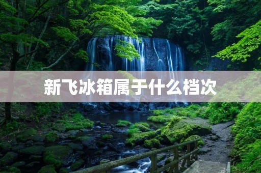 新飞冰箱属于什么档次:家用电器市场中,冰箱是家庭必备的大型家电之一,而新飞冰箱作为国内知名品牌之一,其档次与定位备受消费者关注。那么,新飞冰箱属于什么档次呢?本文将从品牌实力、产品质量、设计风格、技术创新等方面进行详细描述,为您解答这一问题。 新飞冰箱属于什么档次:家用电器市场中,冰箱是家庭必备的大型家电之一,而新飞冰箱作为国内知名品牌之一,其档次与定位备受消费者关注。那么,新飞冰箱属于什么档次呢?本文将从品牌实力、产品质量、设计风格、技术创新等方面进行详细描述,为您解答这一问题。