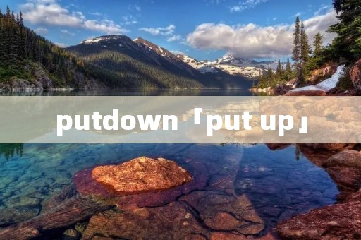 putdown「put up」